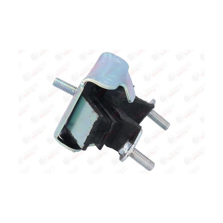 Variklio montavimas BIRTH 5309