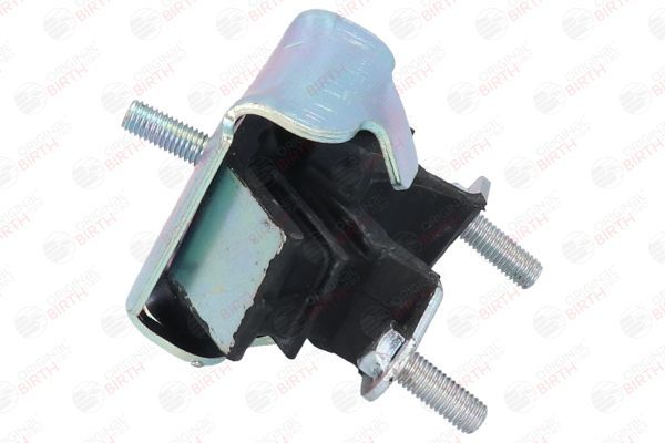 Variklio montavimas BIRTH 5309