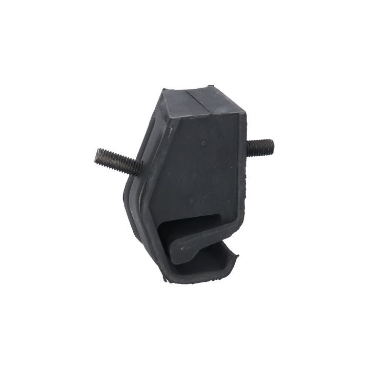 Variklio montavimas BIRTH 5310