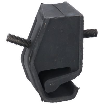 Variklio montavimas BIRTH 5310