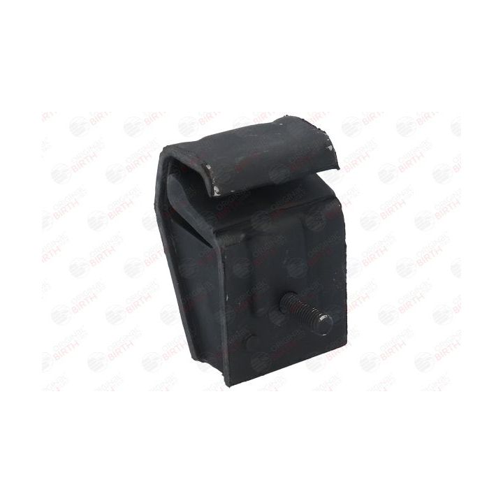 Variklio montavimas BIRTH 5310