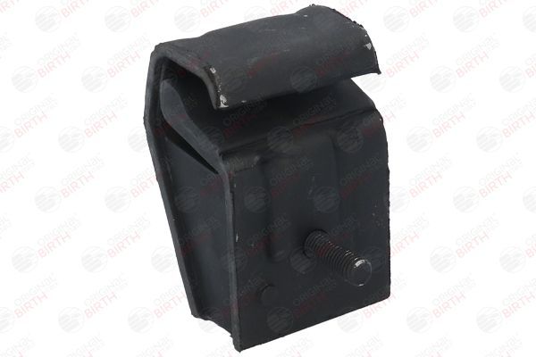 Variklio montavimas BIRTH 5310