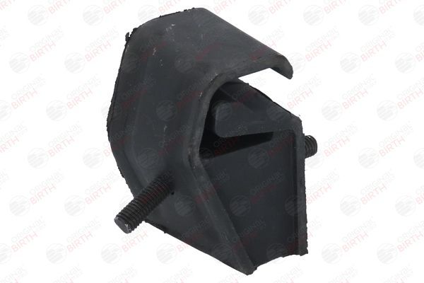 Variklio montavimas BIRTH 5310