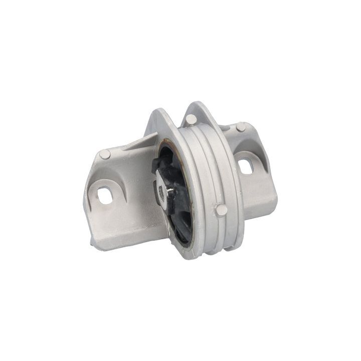 Variklio montavimas BIRTH 5311