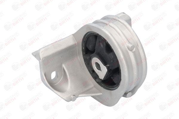 Variklio montavimas BIRTH 5311