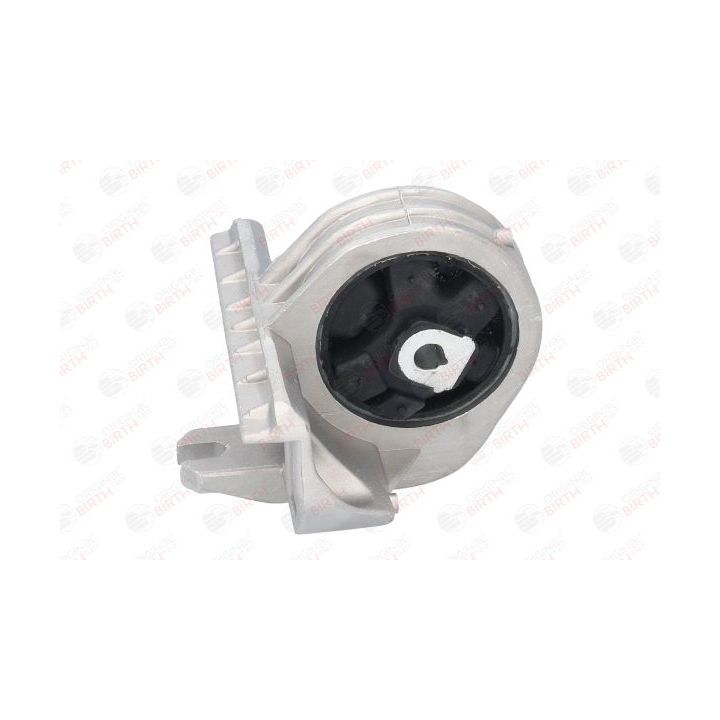 Variklio montavimas BIRTH 5311