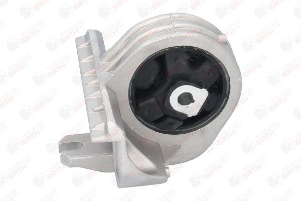 Variklio montavimas BIRTH 5311