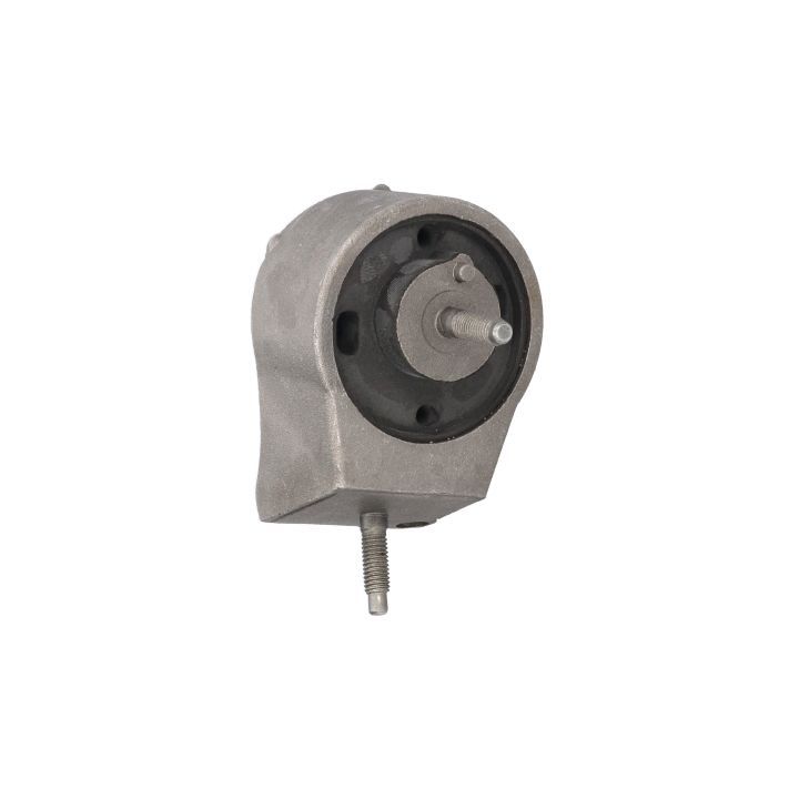 Variklio montavimas BIRTH 5312