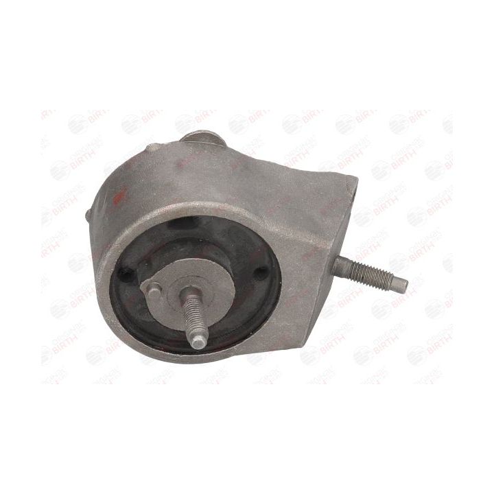 Variklio montavimas BIRTH 5312