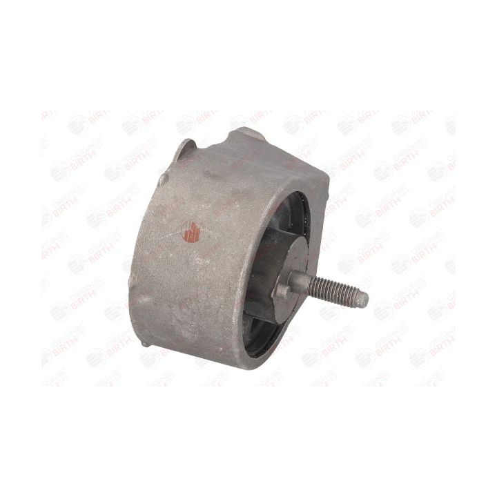 Variklio montavimas BIRTH 5312