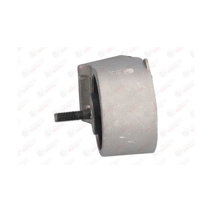 Variklio montavimas BIRTH 5313