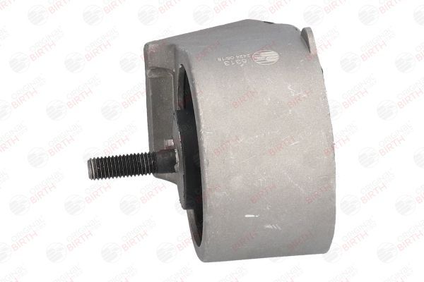 Variklio montavimas BIRTH 5313