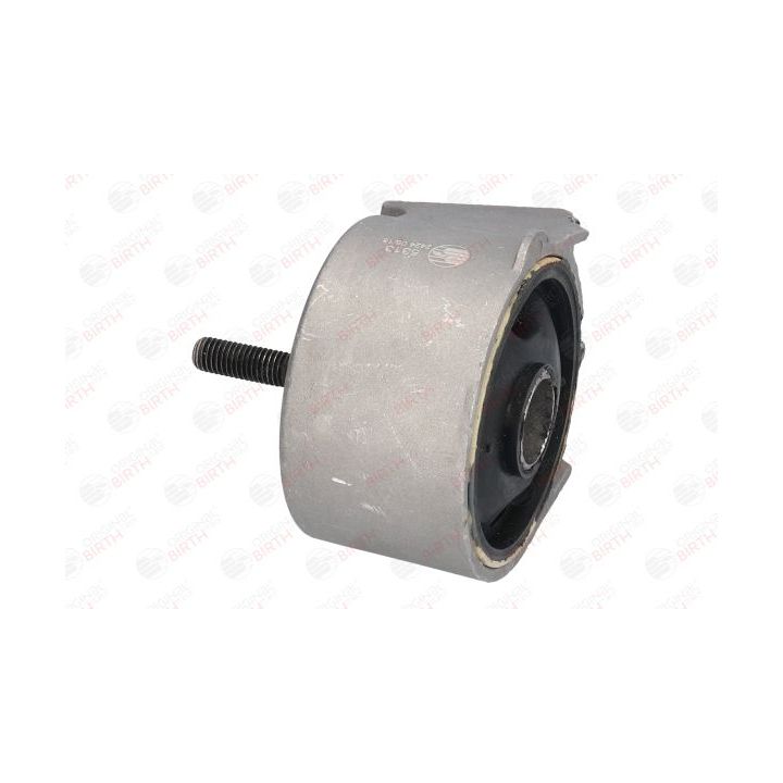 Variklio montavimas BIRTH 5313