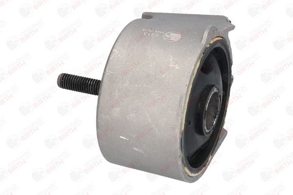 Variklio montavimas BIRTH 5313