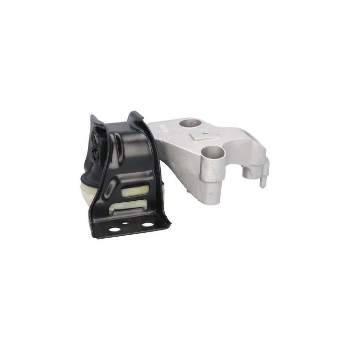 Variklio montavimas BIRTH 53165