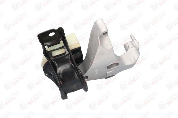 Variklio montavimas BIRTH 53165