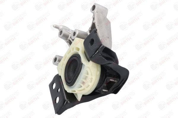 Variklio montavimas BIRTH 53165