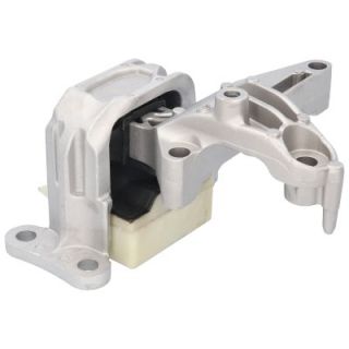 Variklio montavimas BIRTH 53166