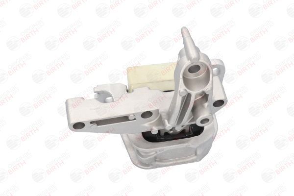 Variklio montavimas BIRTH 53166