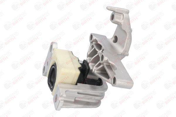 Variklio montavimas BIRTH 53166