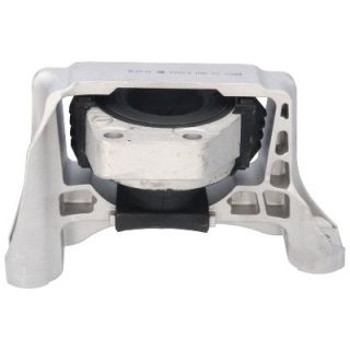 Variklio montavimas BIRTH 53203