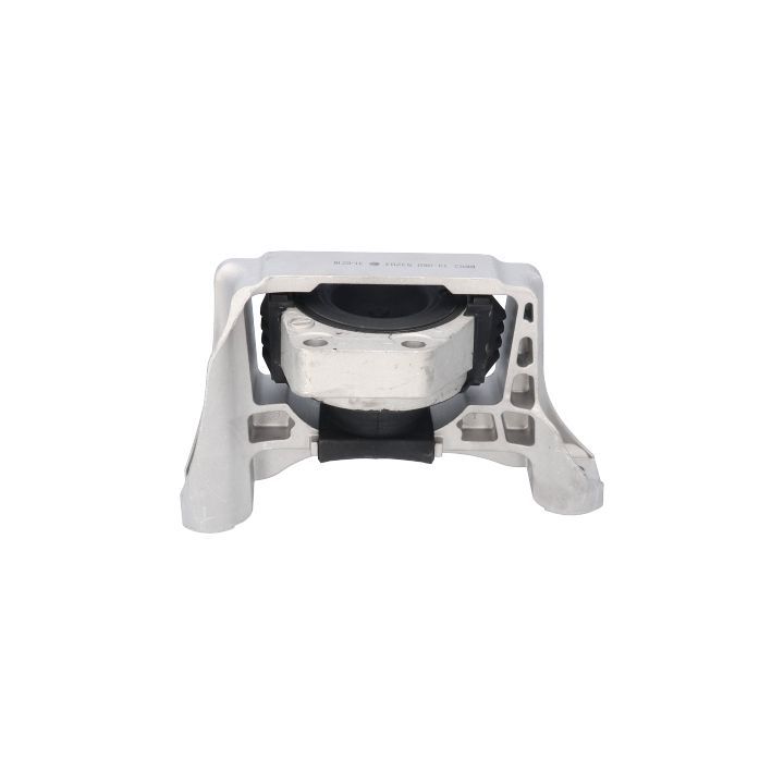 Variklio montavimas BIRTH 53203