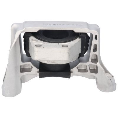 Variklio montavimas BIRTH 53203