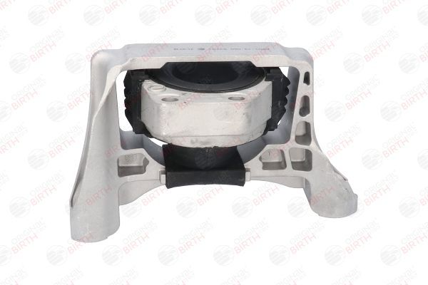 Variklio montavimas BIRTH 53203