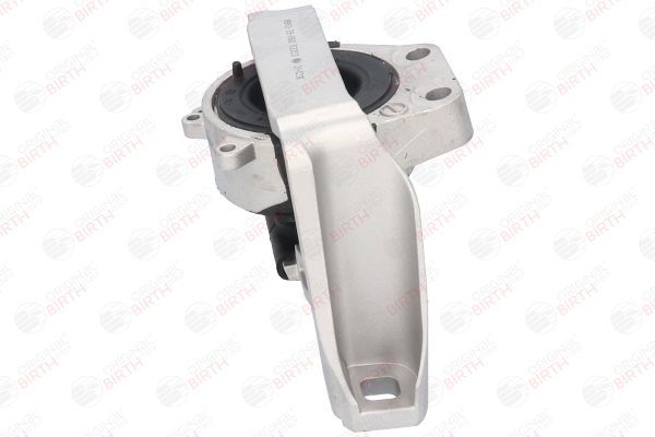 Variklio montavimas BIRTH 53203