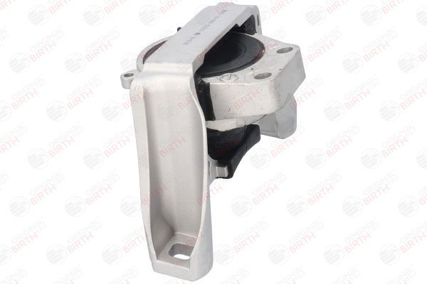 Variklio montavimas BIRTH 53203