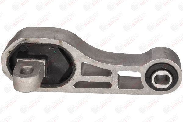 Variklio montavimas BIRTH 53273