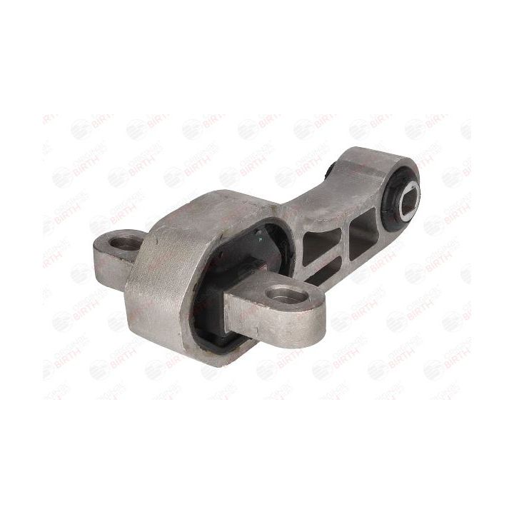 Variklio montavimas BIRTH 53273