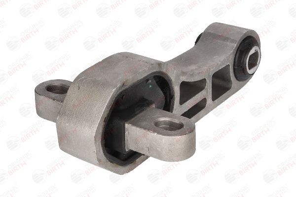 Variklio montavimas BIRTH 53273