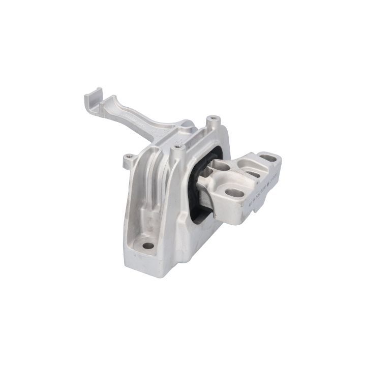 Variklio montavimas BIRTH 53283