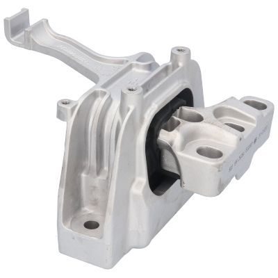 Variklio montavimas BIRTH 53283