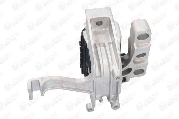 Variklio montavimas BIRTH 53283