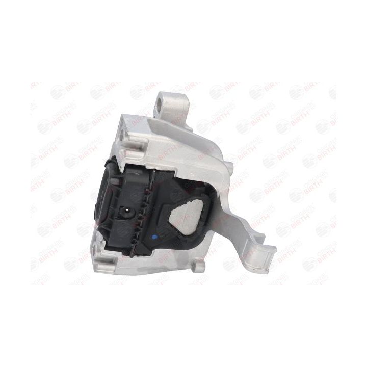 Variklio montavimas BIRTH 53283