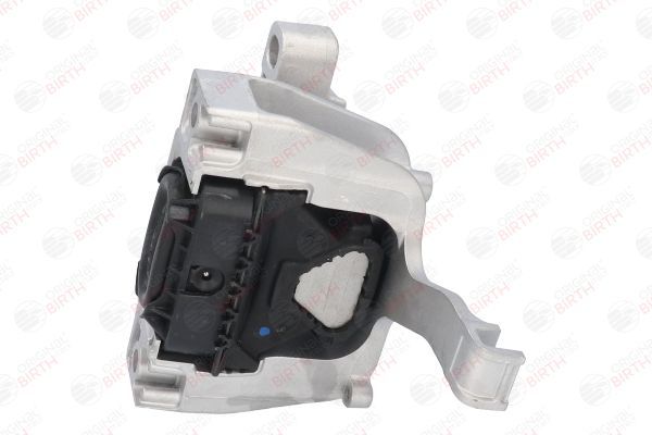 Variklio montavimas BIRTH 53283