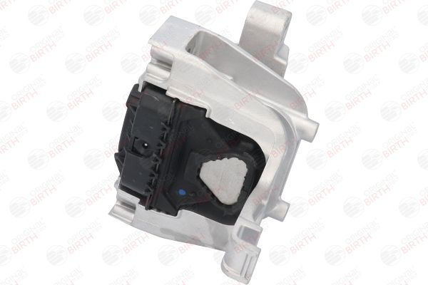 Variklio montavimas BIRTH 53283