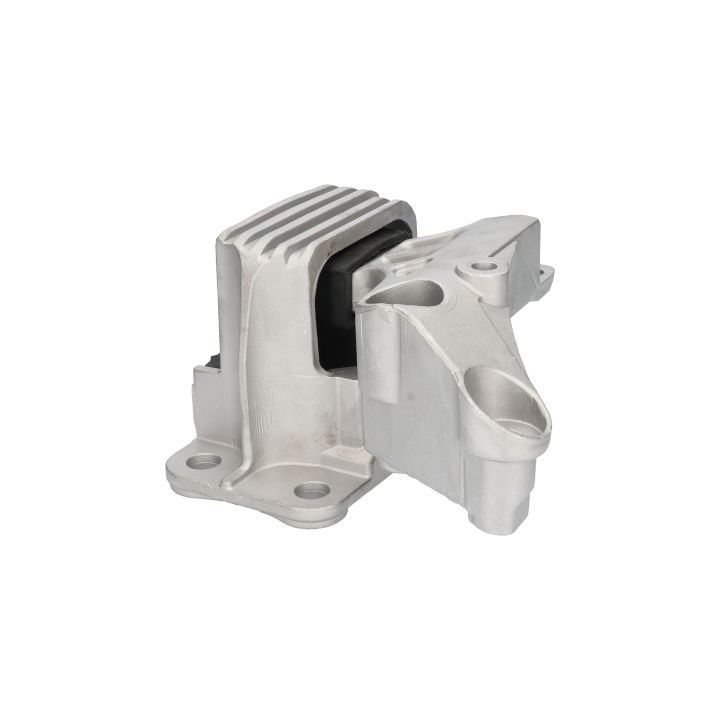 Variklio montavimas BIRTH 53293