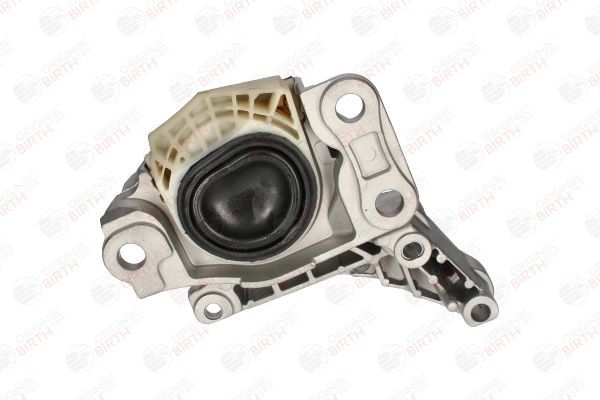 Variklio montavimas BIRTH 53293