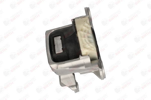 Variklio montavimas BIRTH 53293