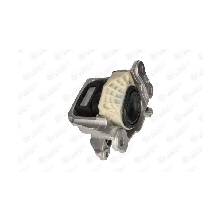 Variklio montavimas BIRTH 53293