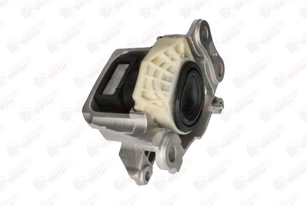 Variklio montavimas BIRTH 53293