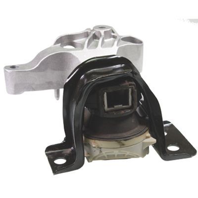 Variklio montavimas BIRTH 53296