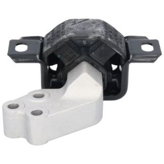 Variklio montavimas BIRTH 53310