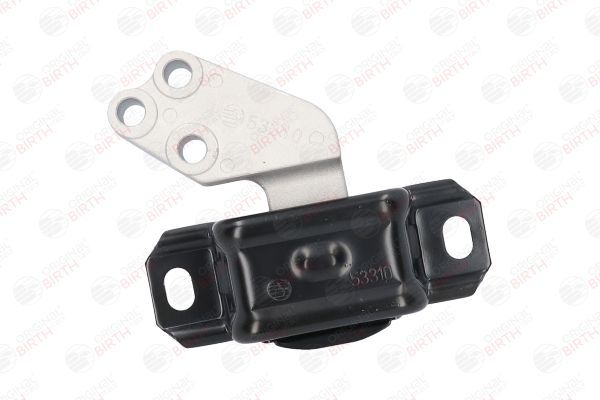 Variklio montavimas BIRTH 53310