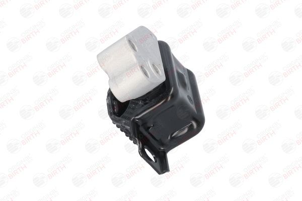 Variklio montavimas BIRTH 53310