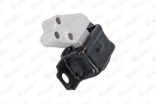 Variklio montavimas BIRTH 53310