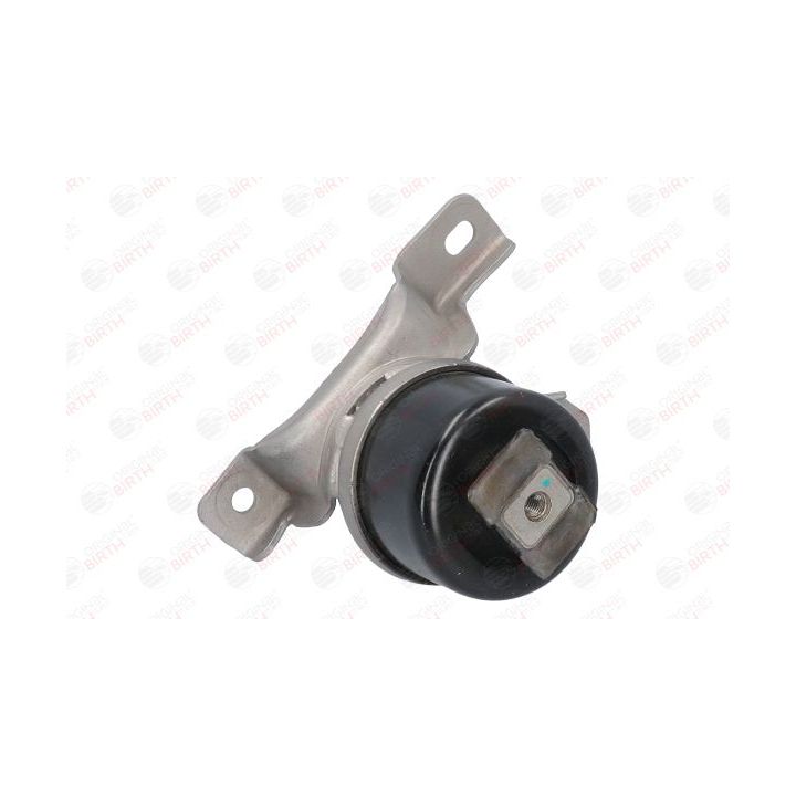 Variklio montavimas BIRTH 53313